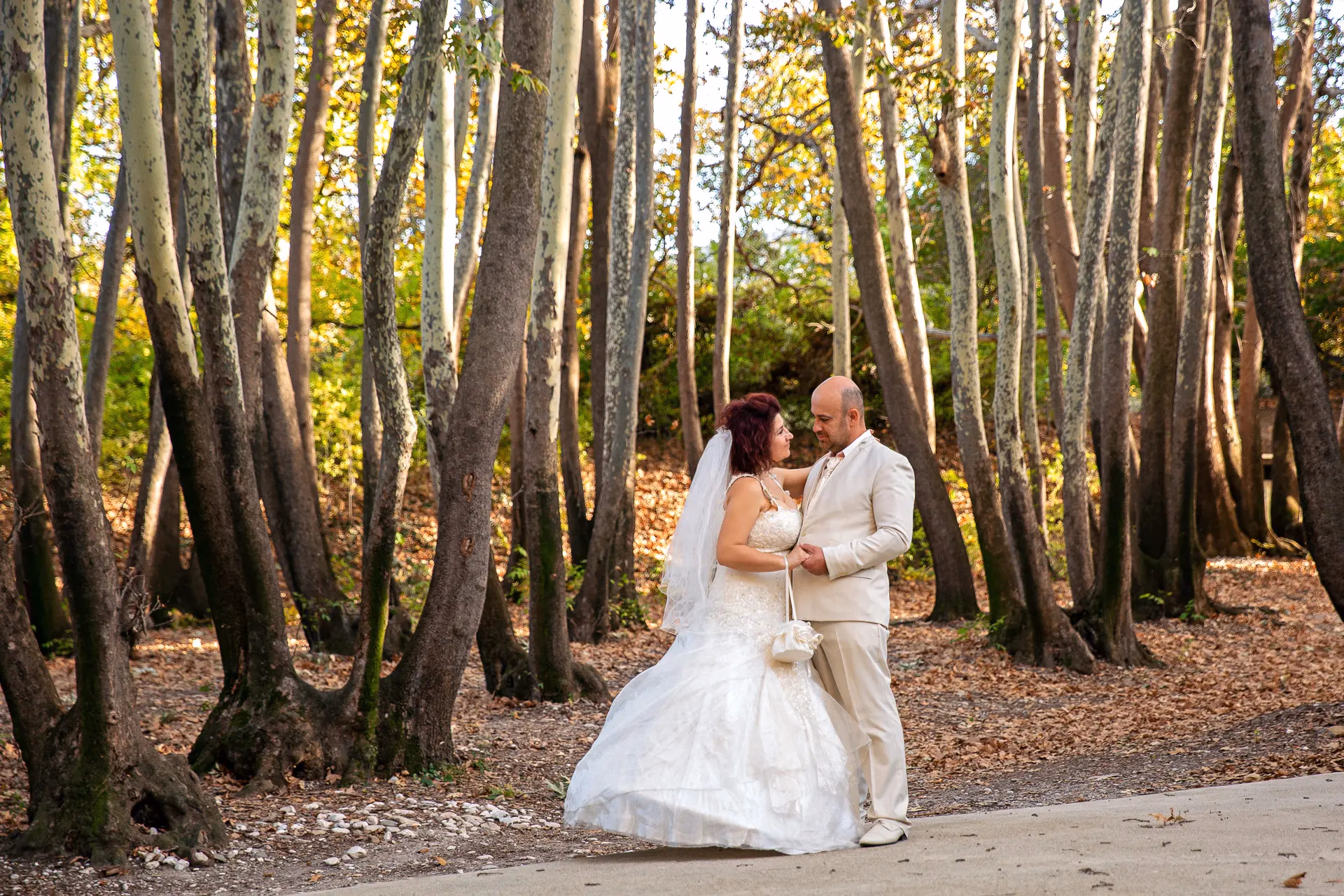 Image from Сватбени емоции album